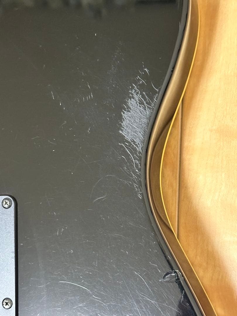 FERNANDES TE-120HT 布袋モデル　サスティナー9V