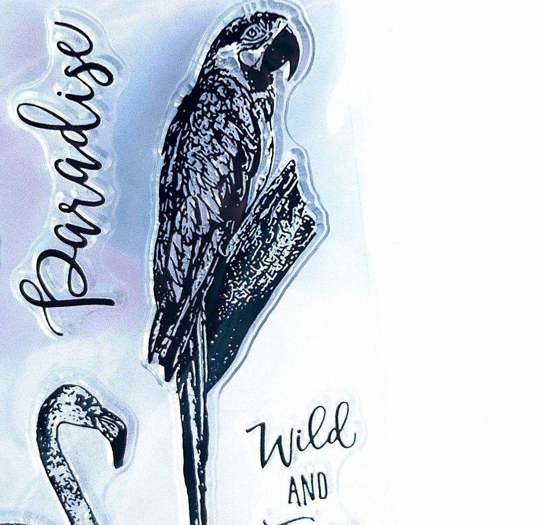 (409)【海外製 】クリアスタンプ トロピカル 野鳥