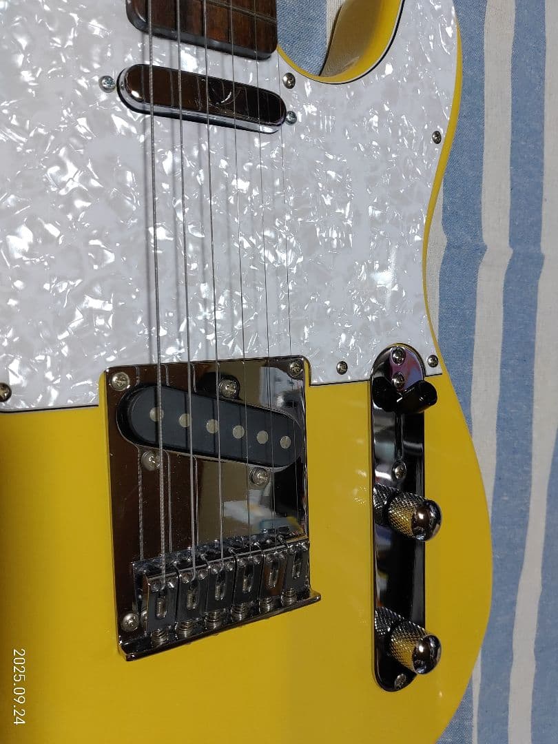 GrassRoots by ESPのテレキャスタイプG-TE-50R使用感少美品