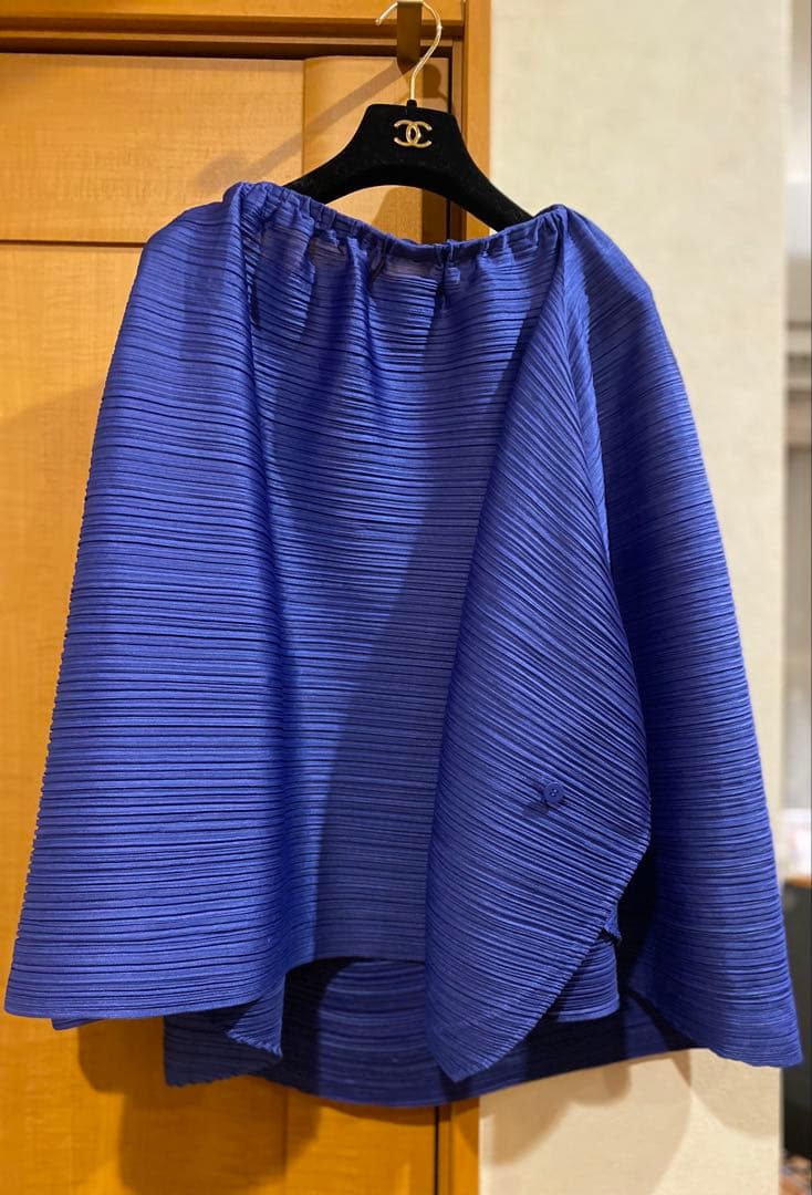 プリーツプリーズ　スカート