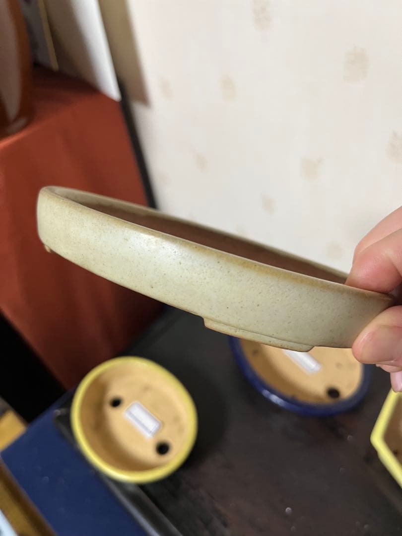 487 盆栽　盆栽鉢　植木鉢　和鉢　服部　山房　他