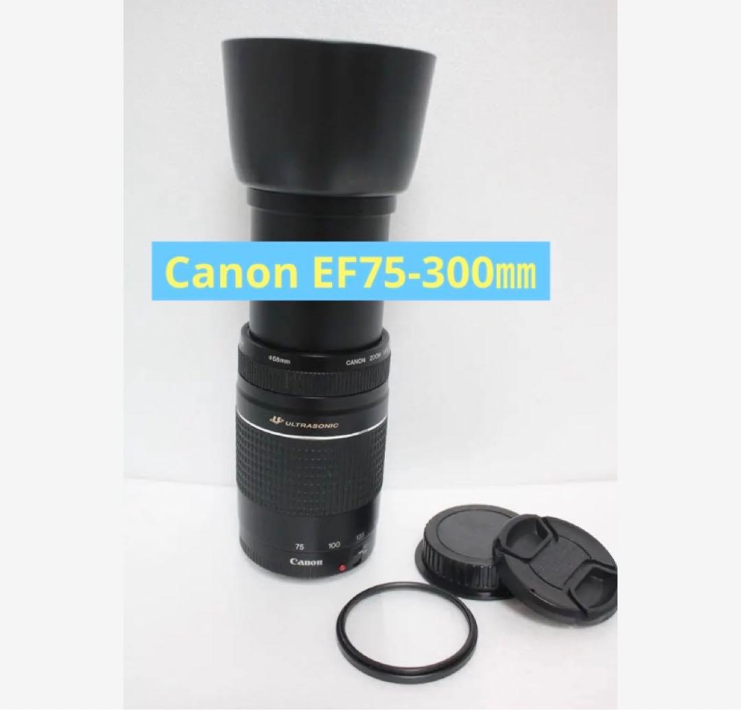 フード付/迫力の300㎜/望遠レンズ　Canon EF75-300㎜B