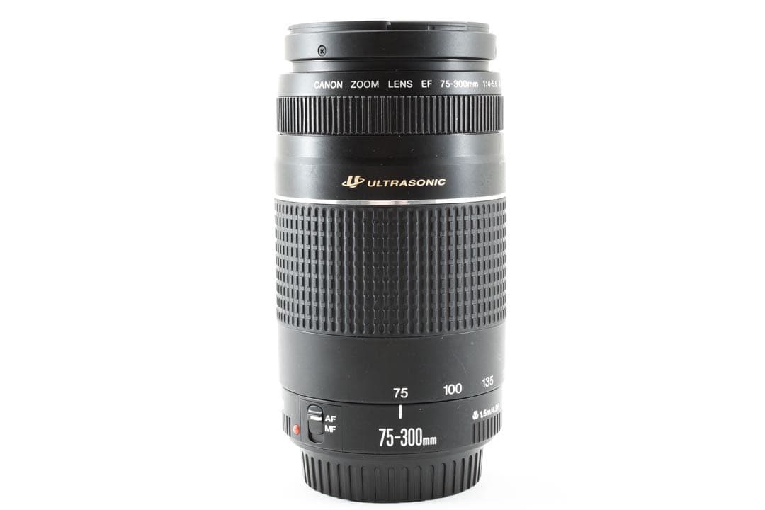 フード付/迫力の300㎜/望遠レンズ　Canon EF75-300㎜B