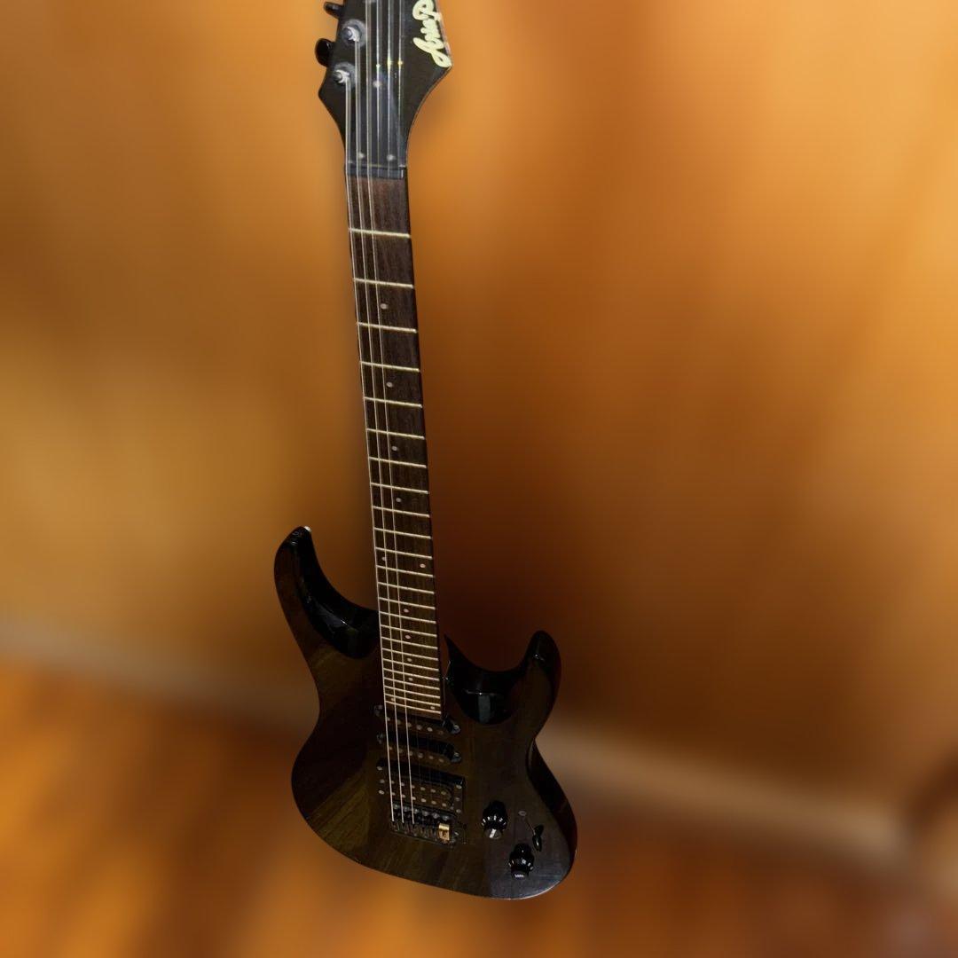 ギター Aria pro II