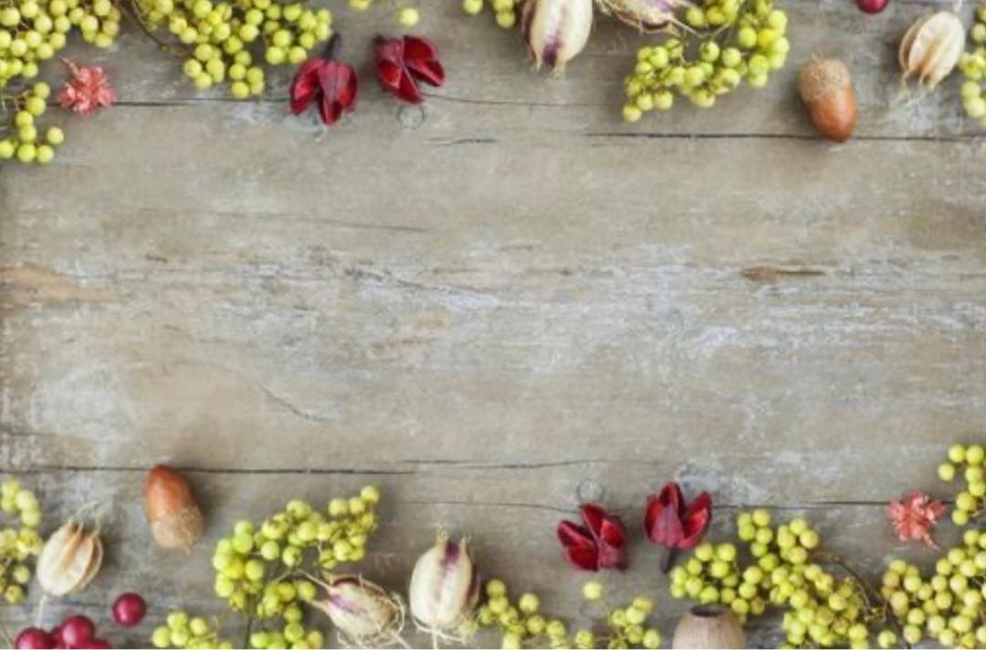 M1289.Wines 姹紫偕行 マスキングテープ 贝壳光PET