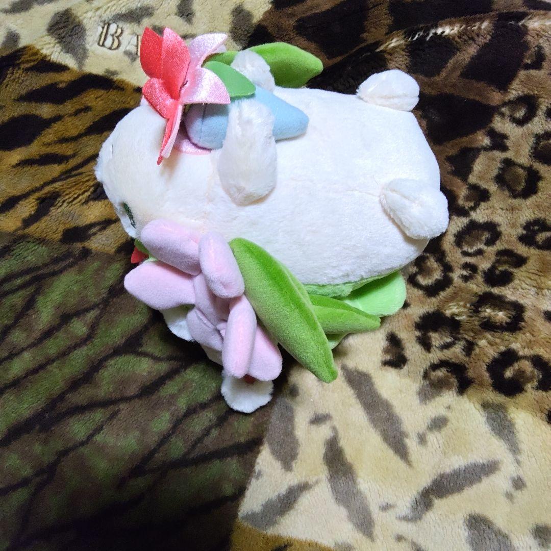 ポケモン　シェイミ　ぬいぐるみ