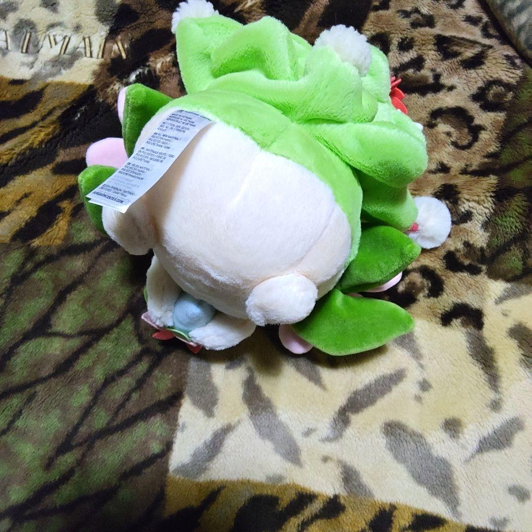 ポケモン　シェイミ　ぬいぐるみ