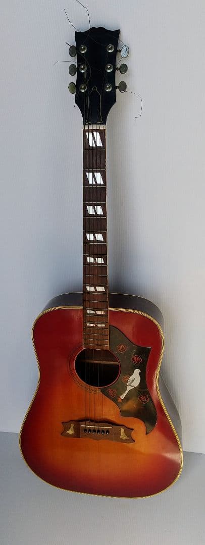 ハミングバード アコースティックギター 希少