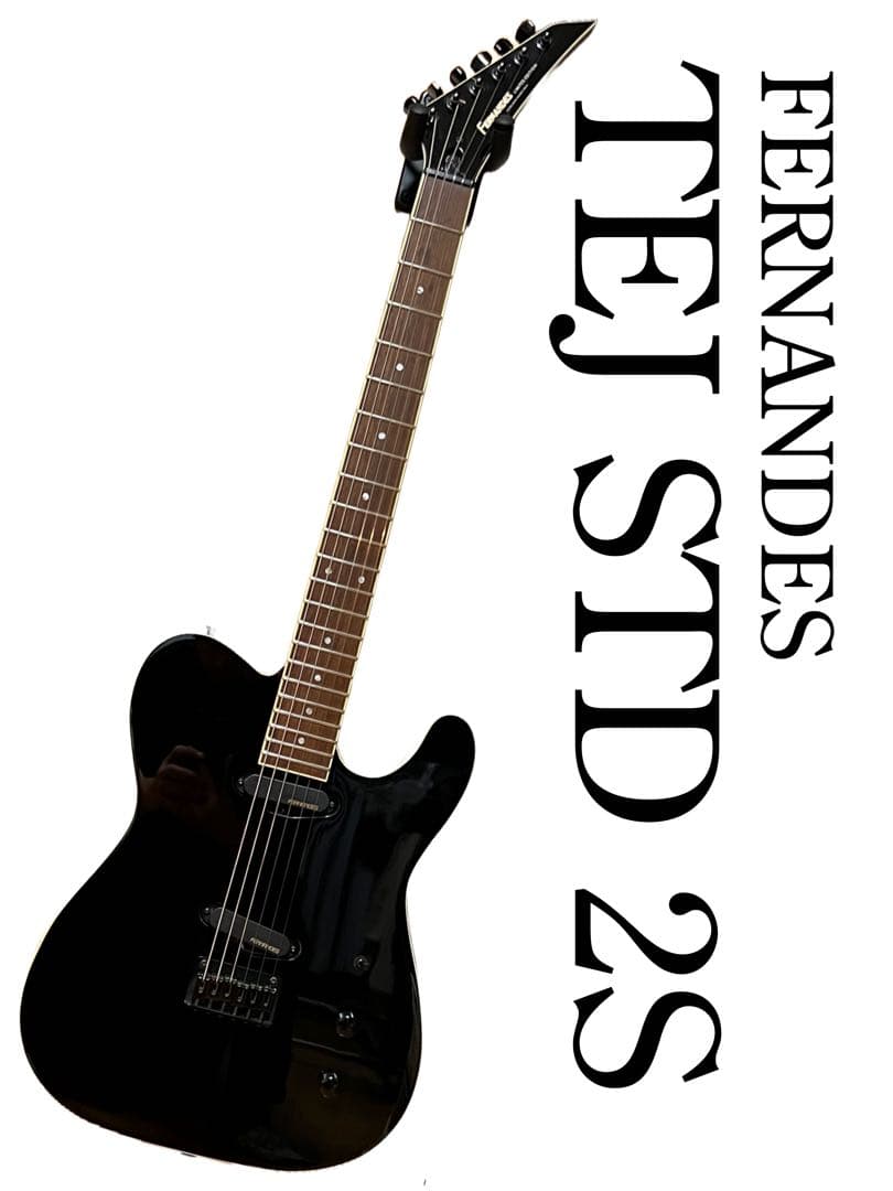 ギター FERNANDES TEJ-STD 2S