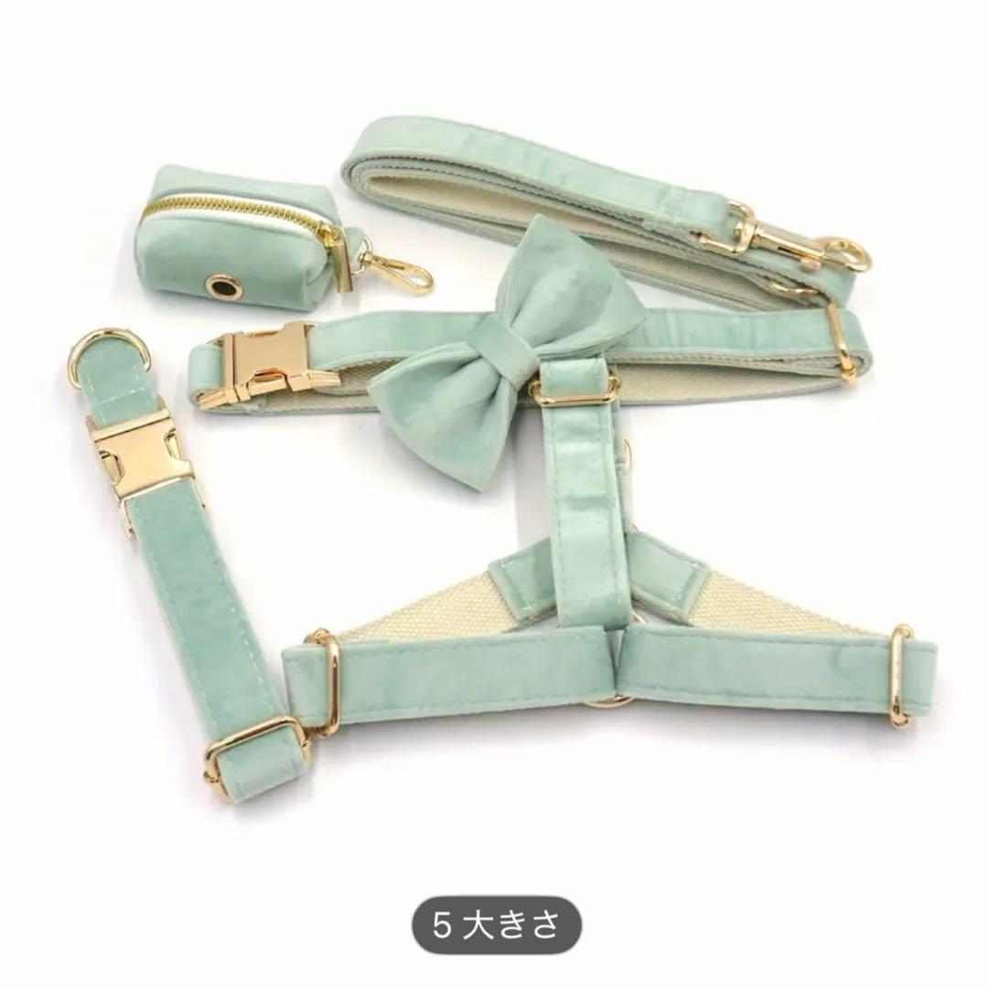 オーダー名前XSグリーン ブルー 6点セット犬 首輪リードハーネスベルベット