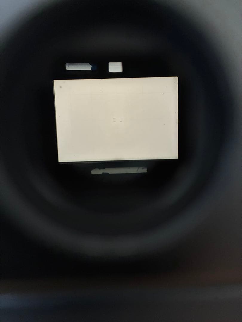 Nikon F4S S/N262万番台　最終製造型