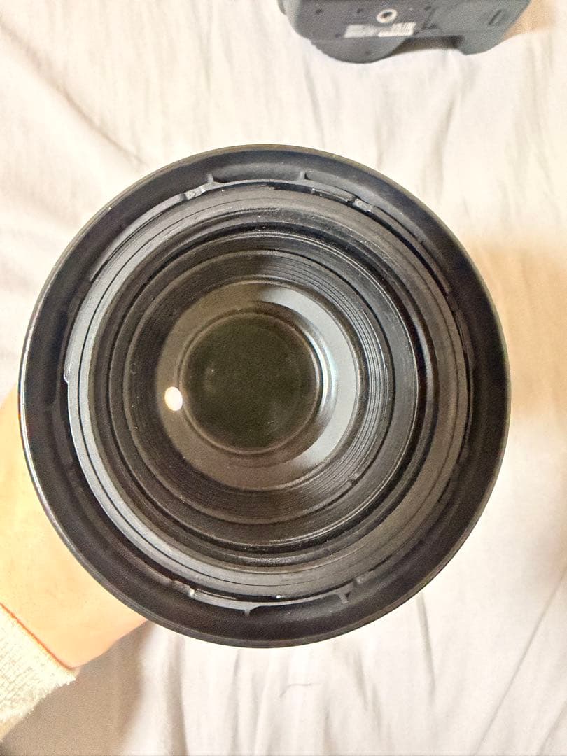 Canon EOS Kiss x10 一眼レフ SIGMA望遠レンズセット