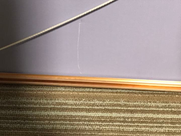 赤毛のアン　パズル　完成品