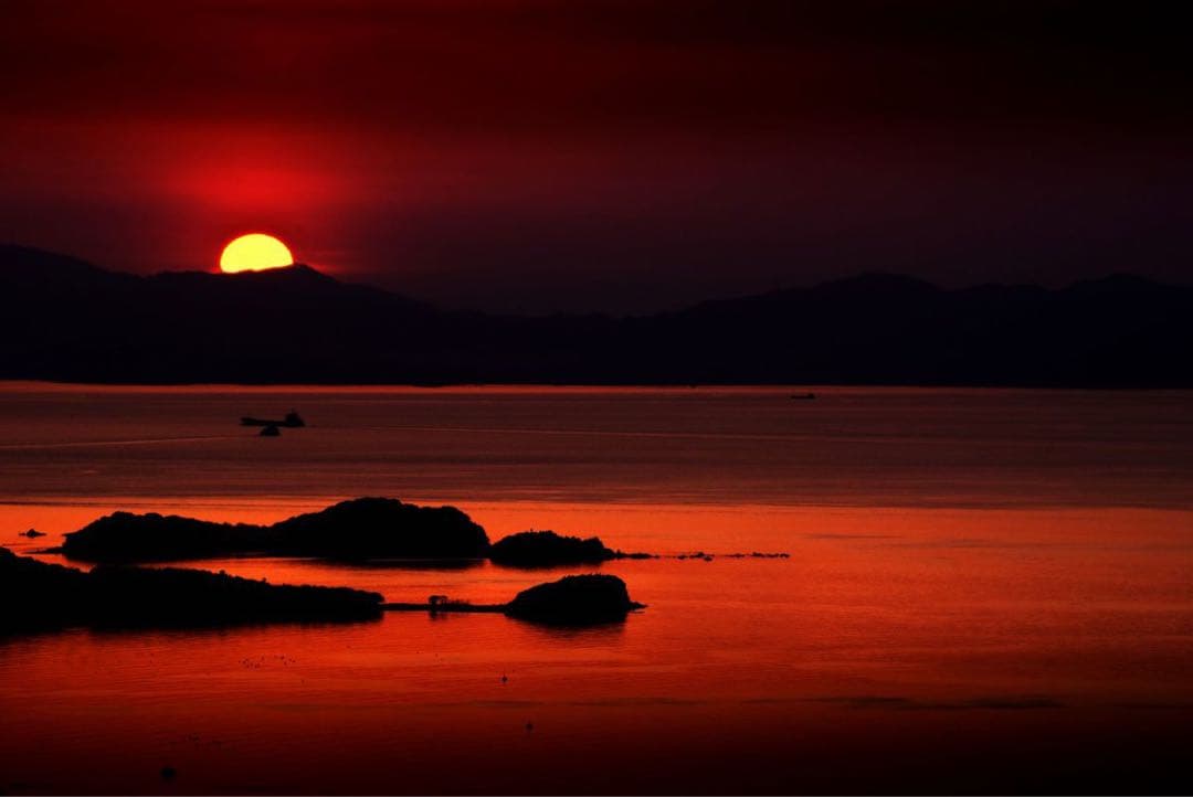 ②NIKKOR AF-S DX55-200㎜f4.5-5.6G ED VR II