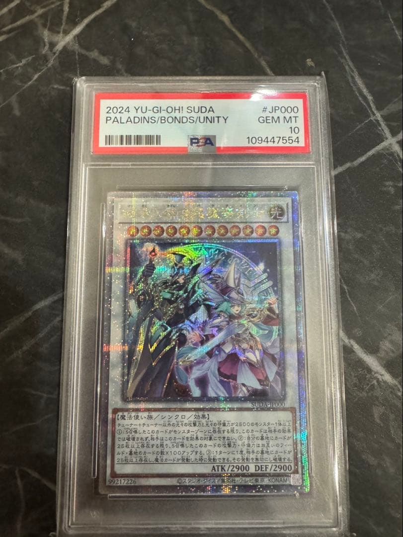 結束と絆のパラディン PSA10