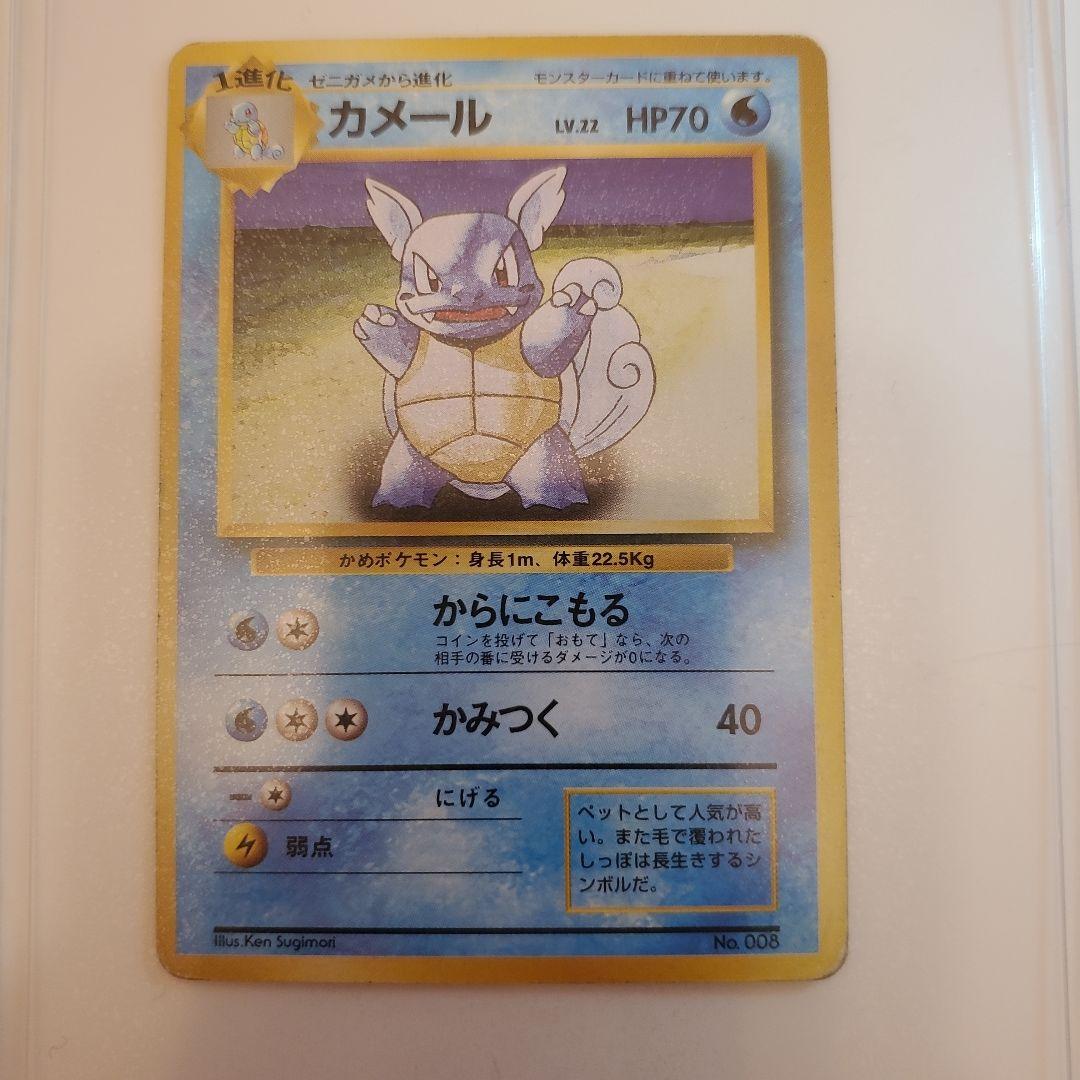 旧裏　ゼニガメ　カメール　カメックス 3枚セット　 No.009