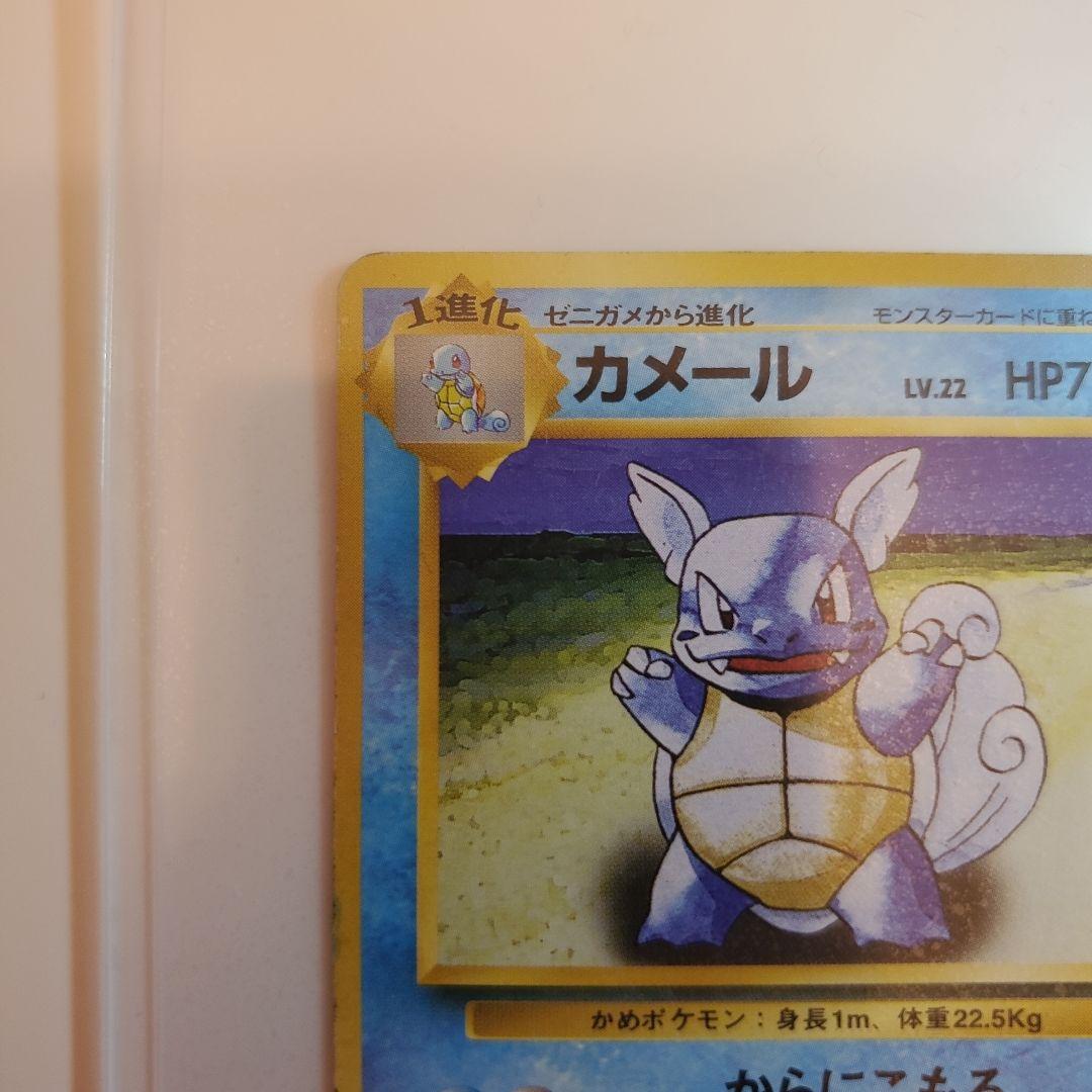 旧裏　ゼニガメ　カメール　カメックス 3枚セット　 No.009