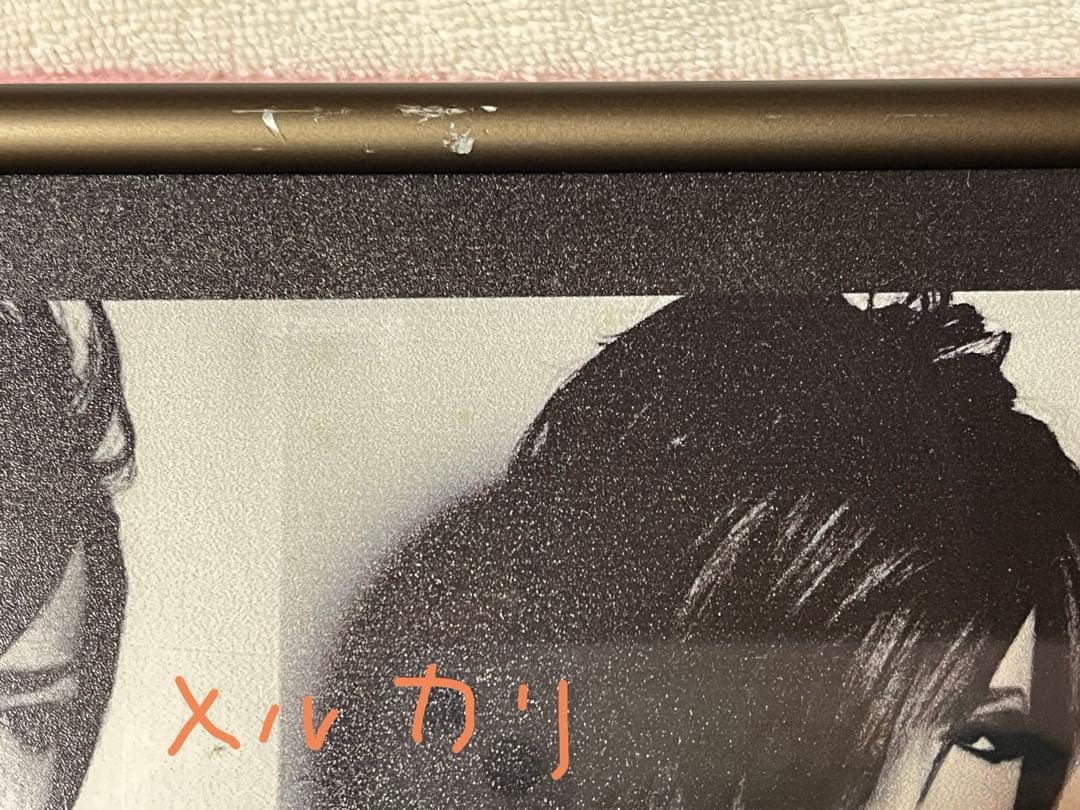 the GazettE DIM発売時当選品パネル&サイン入りポートレート非売品