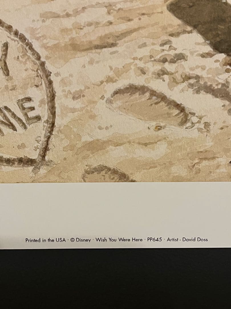 ディズニー アート　ポスター David Doss