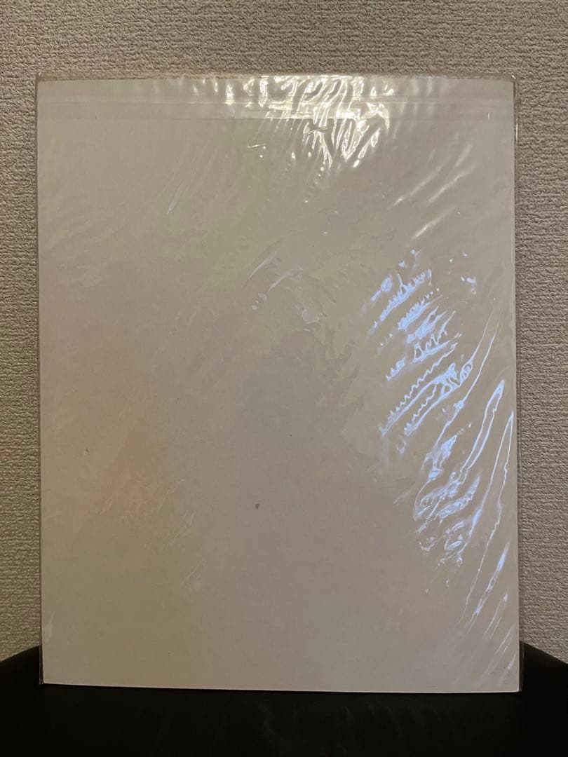 ディズニー アート　ポスター David Doss