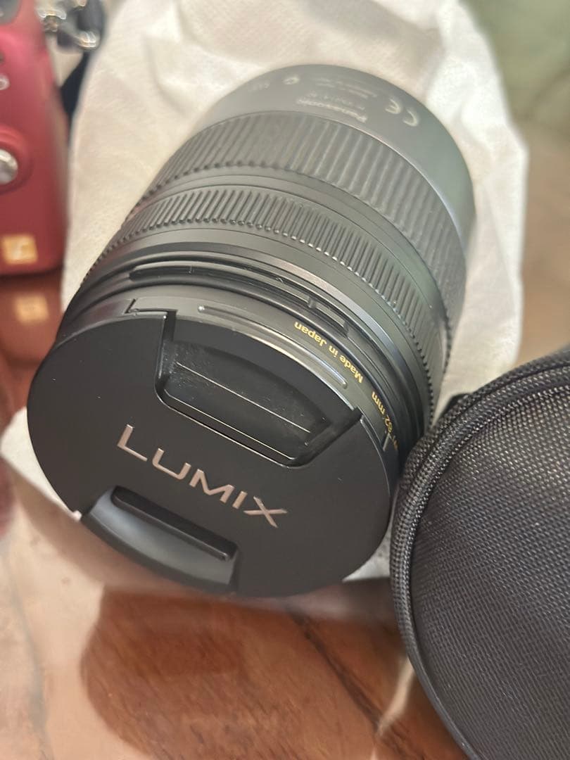 LUMIX GH1 赤色 一眼レフカメラ