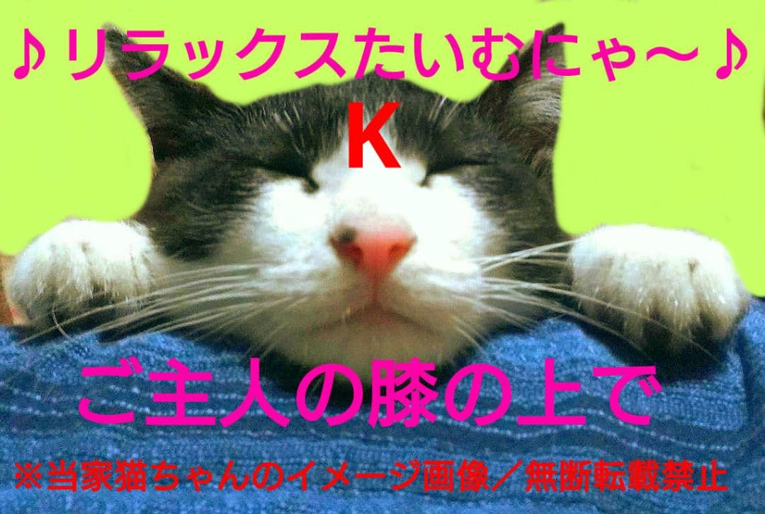 スマック、マタタビ480包　　　　　　　　　　　(定価の半額以下／年内削除)