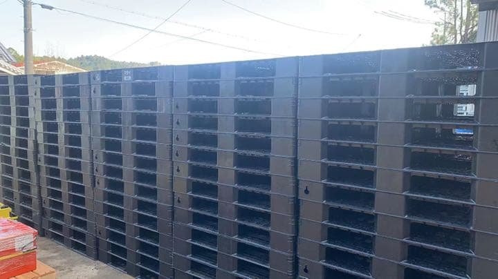 プラスチックパレット10枚