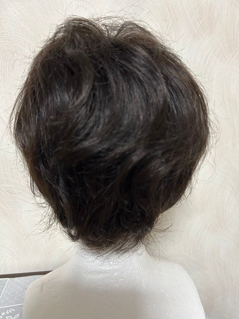 アートネーチャーフルウイング