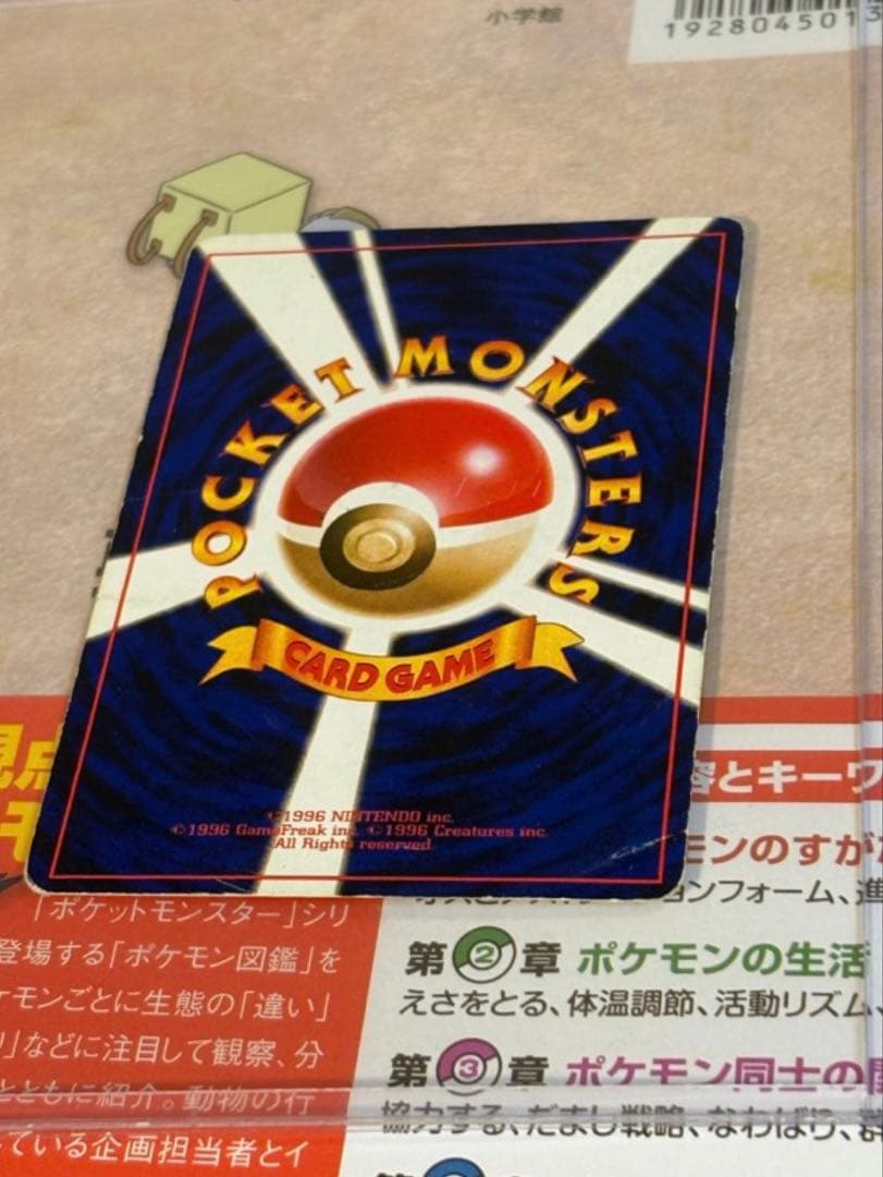 旧裏 ひかるライチュウ リザードン