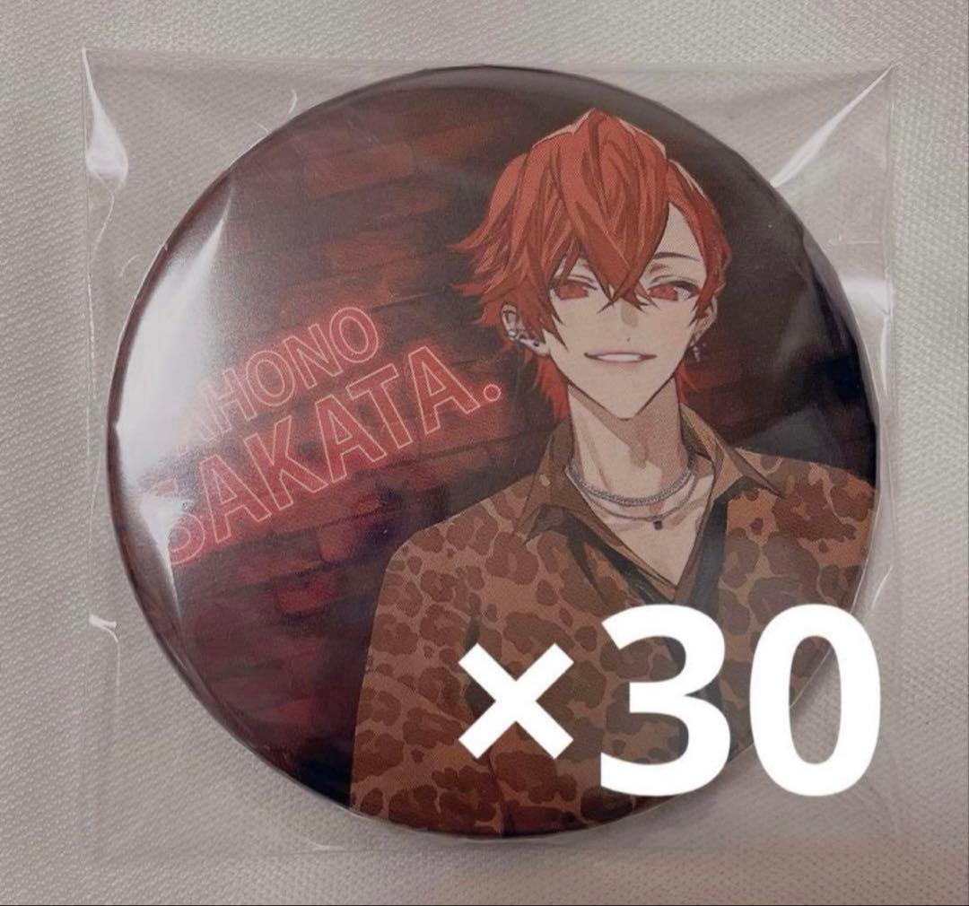 浦島坂田船 あほの坂田 となりの坂田 しまさか RED 詐欺師 等身 缶バッジ