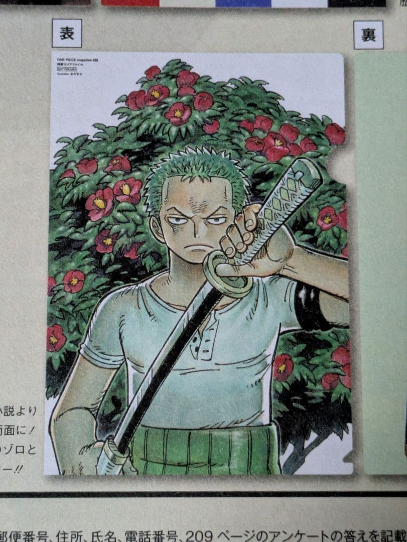 ワンピースマガジン クリアファイル 当選品