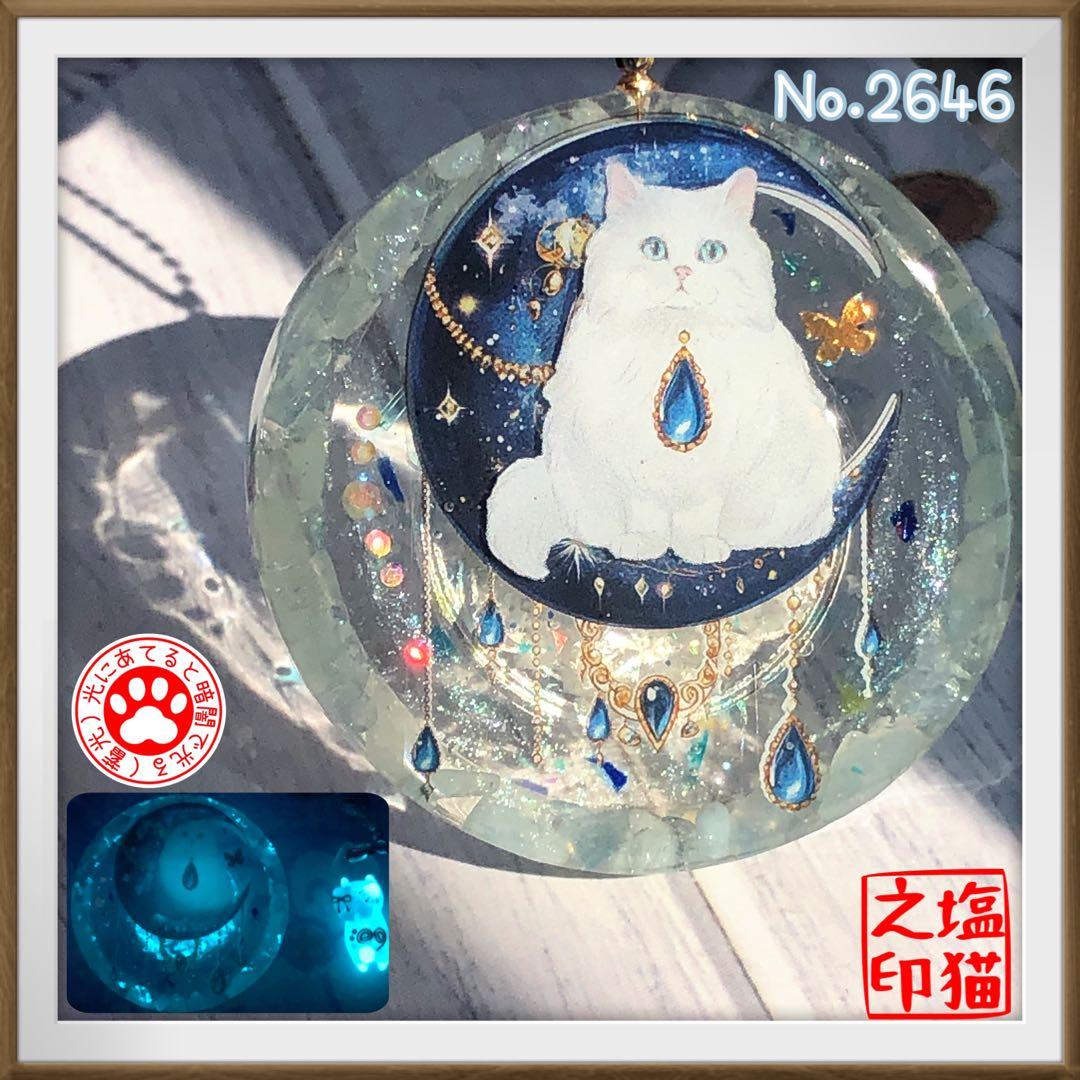 金隠師 サマ♡6点