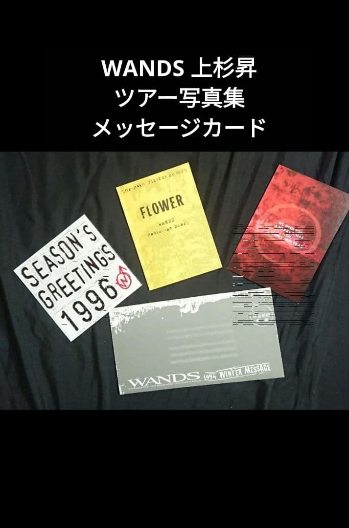 WANDS 上杉昇 ツアー写真集 FLOWER カード 3枚パンフレット セット