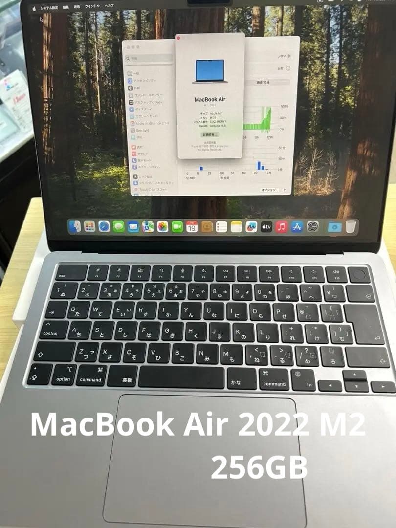 MacBook Air (M2, 2022) 本体 256GB 電池100％
