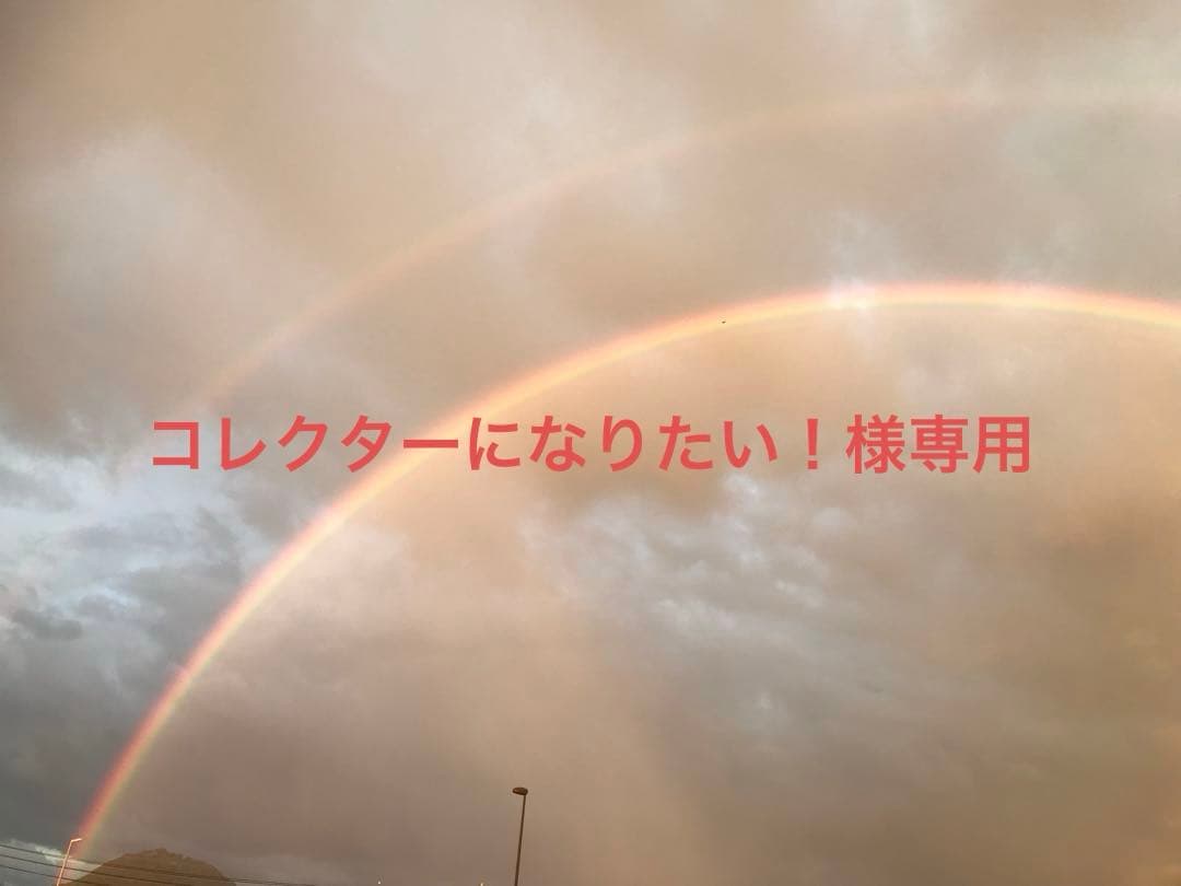 コレクターになりたい！