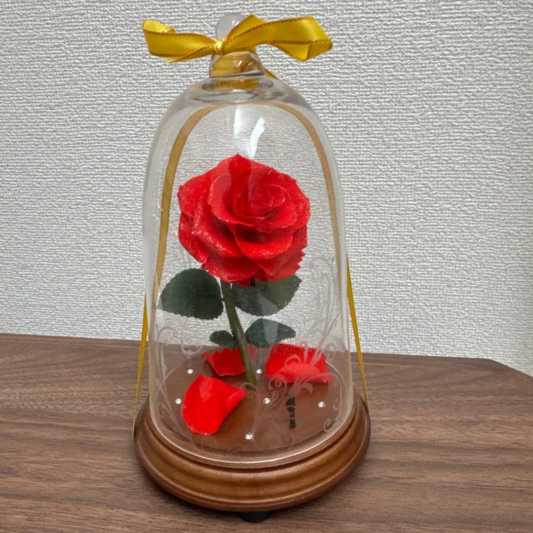 美女と野獣 まとめ買いセット