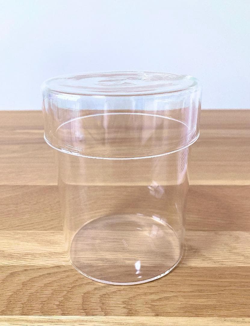 【ルージュ】Bucephalandra sp Theia set