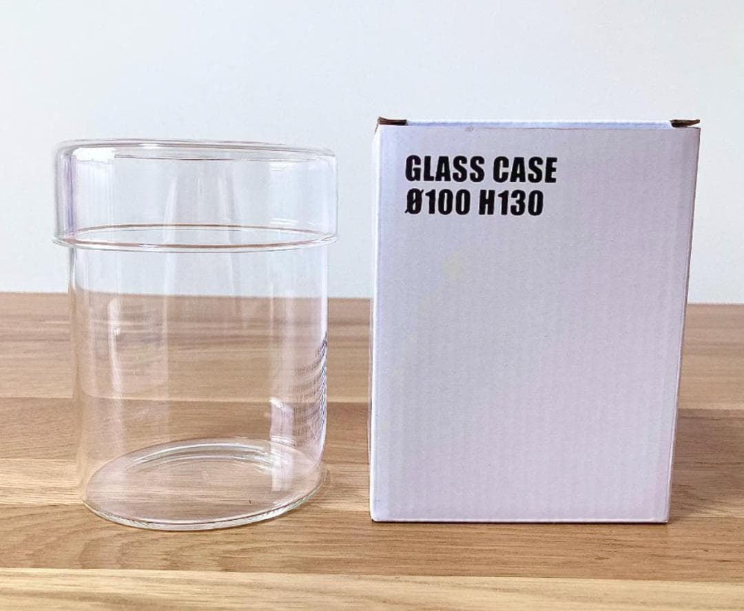 【ルージュ】Bucephalandra sp Theia set