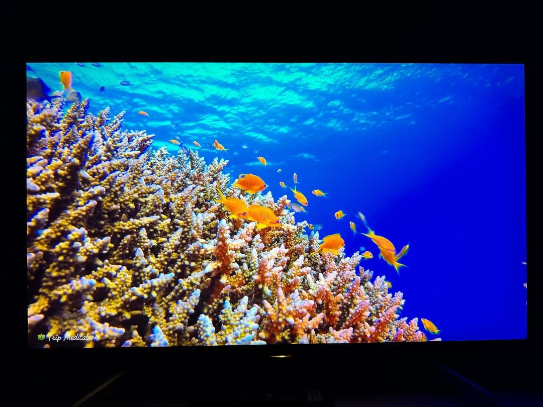 即購入不可 Sony BRAVIA 大画面液晶テレビ