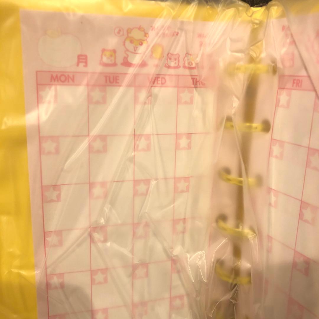 入手困難 超激レア 当時物 サンリオ ミニ6穴 フリーダイアリー バインダー