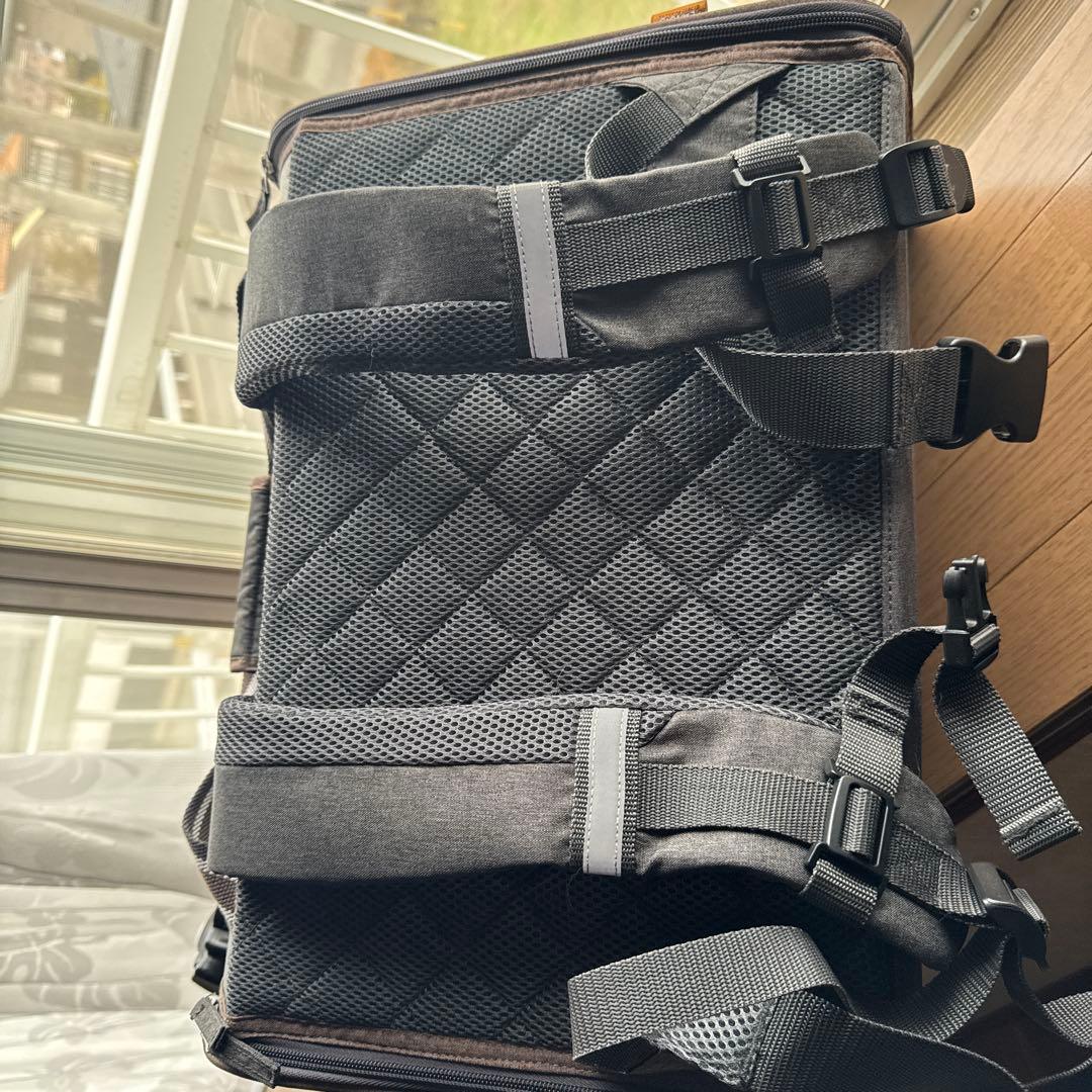 PEANUTS スヌーピーキャリーバッグ