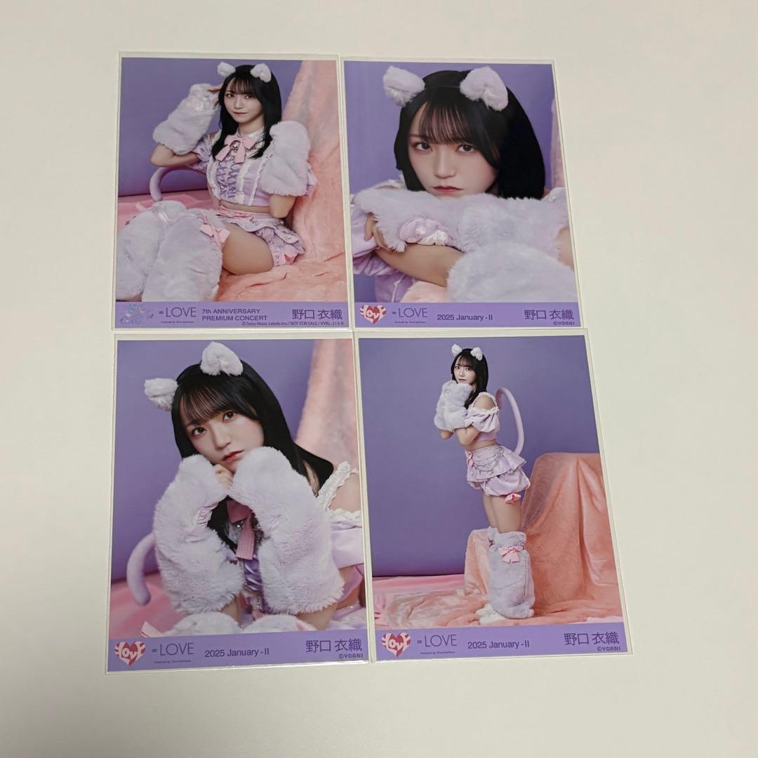 =LOVE イコラブ 7周年 猫衣装 円盤 封入 生写真 野口衣織 4種
