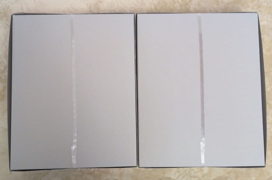 MGリゼル隊長機、MGギラドーガ　未組立新品