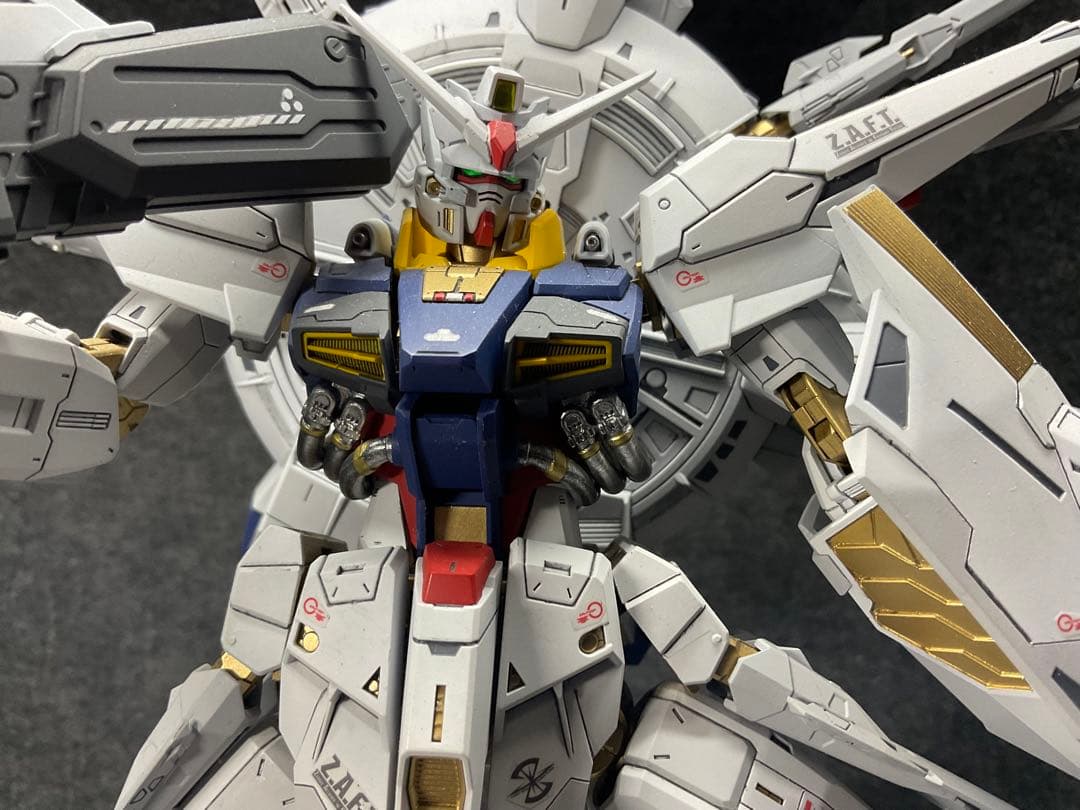 MG プロヴィデンス ガンダム 塗装品