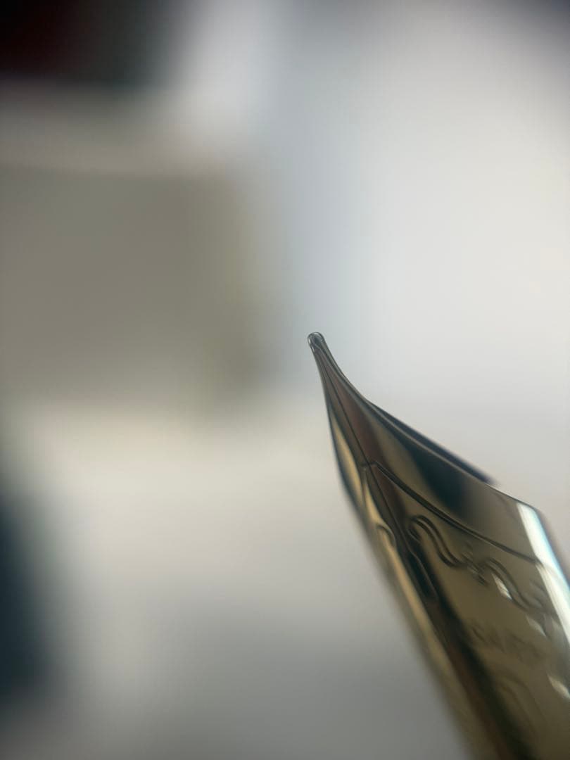 パイロット万年筆80週年、四神、黒漆