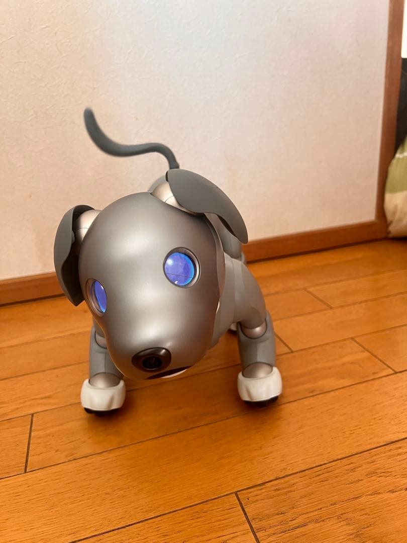 黒ごまエディション　SONY aibo ERS-1000 本体