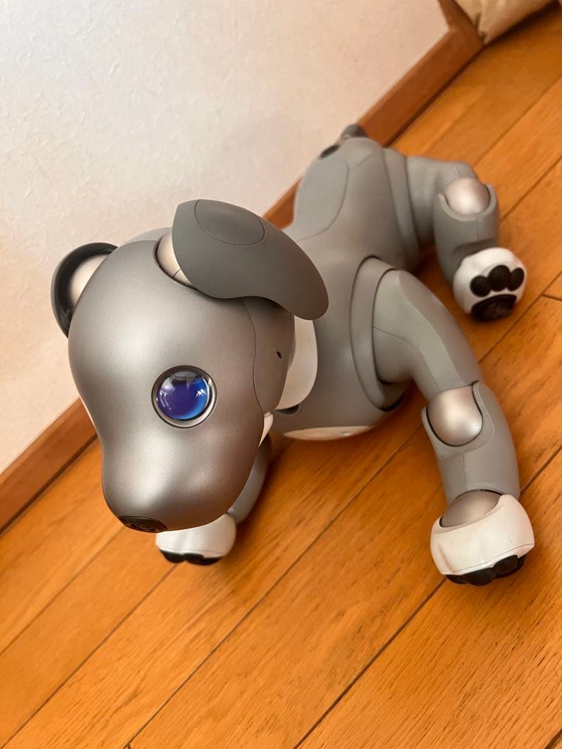 黒ごまエディション　SONY aibo ERS-1000 本体