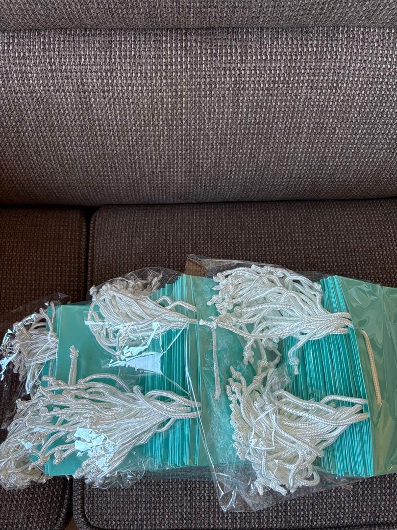 現行品　新品未使用ティファニー ショッピング紙袋60枚セット（20x25cm）