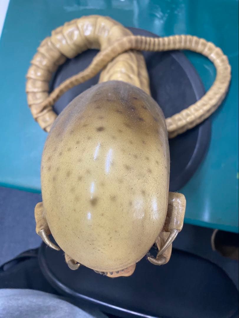 マスターレプリカ　エイリアン　ハイブリッドチェストバスター　プロップレプリカ新品