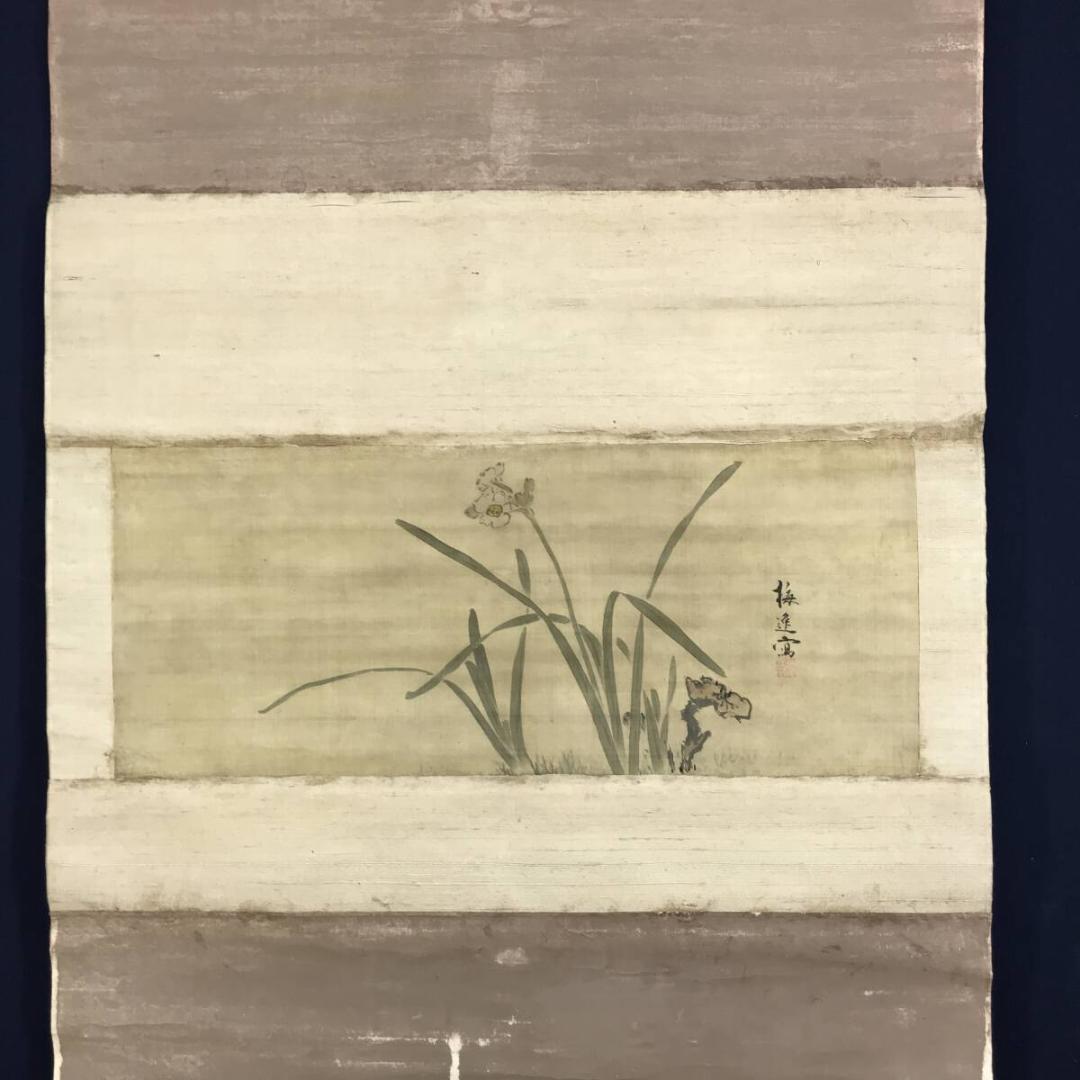 模写/山本梅逸/水仙図/スイセン図/横物/掛軸☆宝船☆AH-780